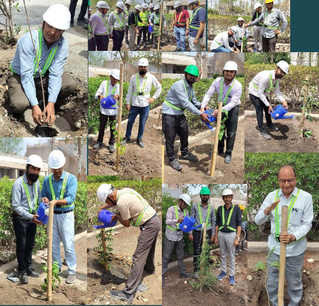 Sapling planted during the Hi-Bond Cement Tree Plantation Drive
